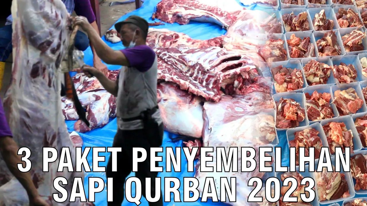 
                                 Paket-Penyembelihan-Sapi-Kurban-2023